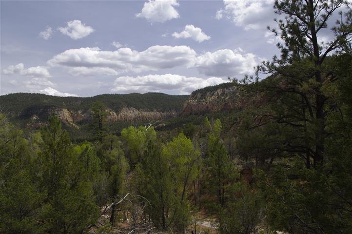 View from near where the Faux Fenn Treasure was hidden